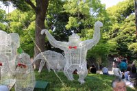 IMG_1280.JPG